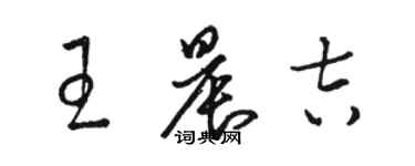 駱恆光王晨吉草書個性簽名怎么寫