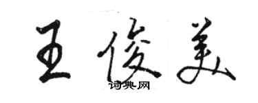 駱恆光王俊美行書個性簽名怎么寫