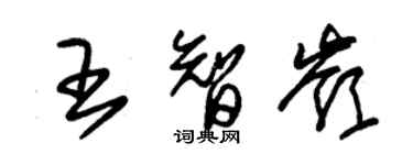 朱錫榮王智嶺草書個性簽名怎么寫