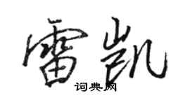 駱恆光雷凱行書個性簽名怎么寫