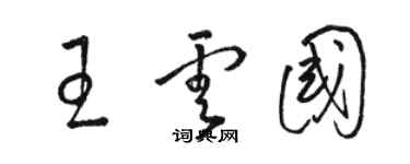 駱恆光王雲國草書個性簽名怎么寫