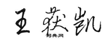 駱恆光王獲凱行書個性簽名怎么寫