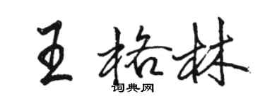駱恆光王格林行書個性簽名怎么寫