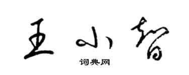 梁錦英王小智草書個性簽名怎么寫