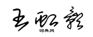 朱錫榮王虹影草書個性簽名怎么寫