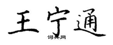 丁謙王寧通楷書個性簽名怎么寫