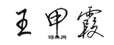 駱恆光王甲霞行書個性簽名怎么寫