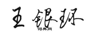 駱恆光王銀環行書個性簽名怎么寫