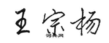 駱恆光王宗楊行書個性簽名怎么寫