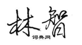 駱恆光林智行書個性簽名怎么寫