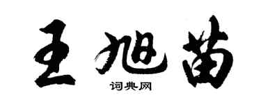 胡問遂王旭苗行書個性簽名怎么寫