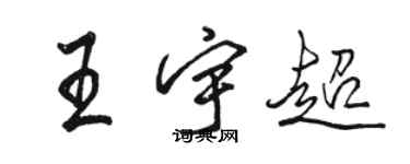 駱恆光王宇超行書個性簽名怎么寫