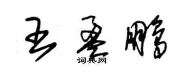 朱錫榮王盈鵬草書個性簽名怎么寫