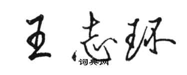 駱恆光王志環行書個性簽名怎么寫