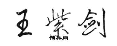 駱恆光王紫劍行書個性簽名怎么寫