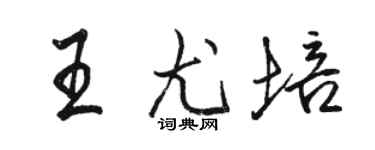 駱恆光王尤培行書個性簽名怎么寫