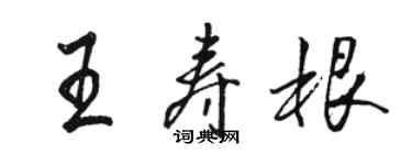 駱恆光王壽根行書個性簽名怎么寫