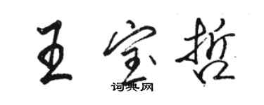 駱恆光王寶哲行書個性簽名怎么寫