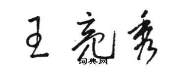 駱恆光王亮秀草書個性簽名怎么寫