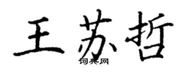 丁謙王蘇哲楷書個性簽名怎么寫