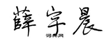 曾慶福薛宇晨行書個性簽名怎么寫