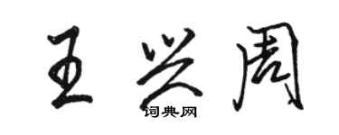 駱恆光王興周行書個性簽名怎么寫