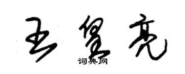 朱錫榮王皇亮草書個性簽名怎么寫