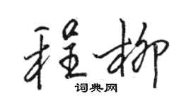 駱恆光程柳行書個性簽名怎么寫