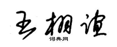 朱錫榮王栩誼草書個性簽名怎么寫