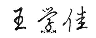 駱恆光王學佳行書個性簽名怎么寫