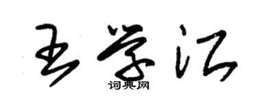 朱錫榮王學江草書個性簽名怎么寫