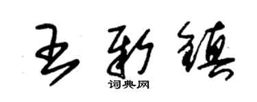 朱錫榮王新鎮草書個性簽名怎么寫