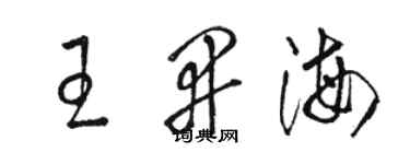 駱恆光王開海草書個性簽名怎么寫