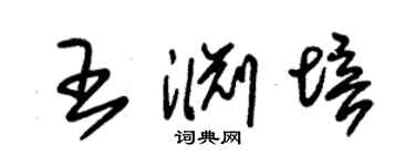 朱錫榮王淵培草書個性簽名怎么寫