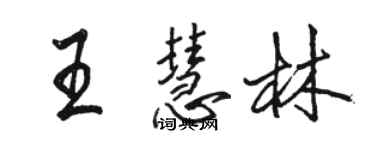 駱恆光王慧林行書個性簽名怎么寫