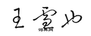 駱恆光王雪也草書個性簽名怎么寫