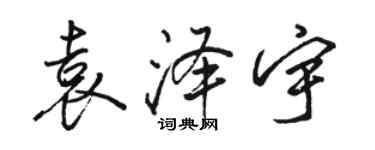 駱恆光袁澤宇行書個性簽名怎么寫