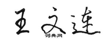 駱恆光王文連行書個性簽名怎么寫