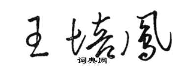 駱恆光王培鳳草書個性簽名怎么寫