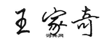 駱恆光王家奇行書個性簽名怎么寫