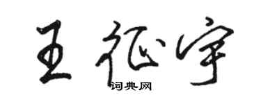 駱恆光王征宇行書個性簽名怎么寫