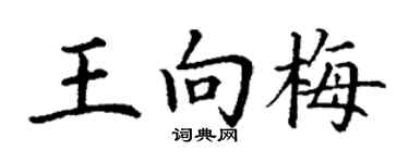 丁謙王向梅楷書個性簽名怎么寫