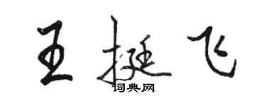 駱恆光王挺飛行書個性簽名怎么寫