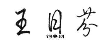 駱恆光王日芬行書個性簽名怎么寫