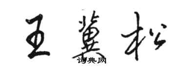 駱恆光王冀松行書個性簽名怎么寫