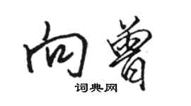 駱恆光向曾行書個性簽名怎么寫