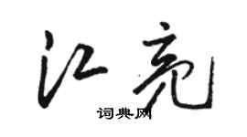 駱恆光江亮草書個性簽名怎么寫