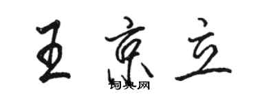 駱恆光王京立行書個性簽名怎么寫