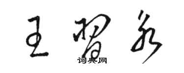 駱恆光王習永草書個性簽名怎么寫