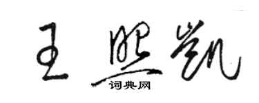 駱恆光王照凱草書個性簽名怎么寫